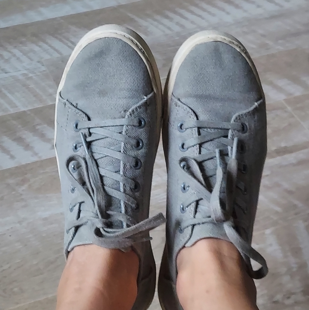 TOMS Cute Canvas Sneakers